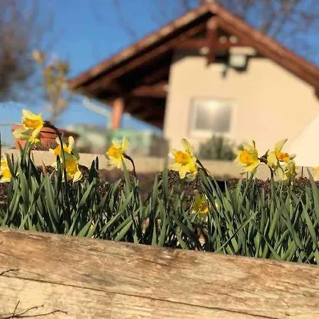 Malna Mondta! Apartman Balatoni Panoramaval * Siofok